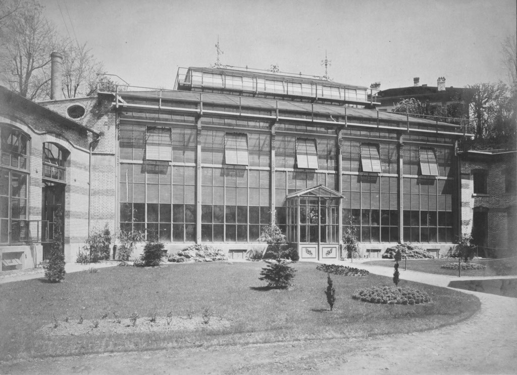 1905ca_neu erstelltes Palmenhaus mit Resten des alten Alpinums