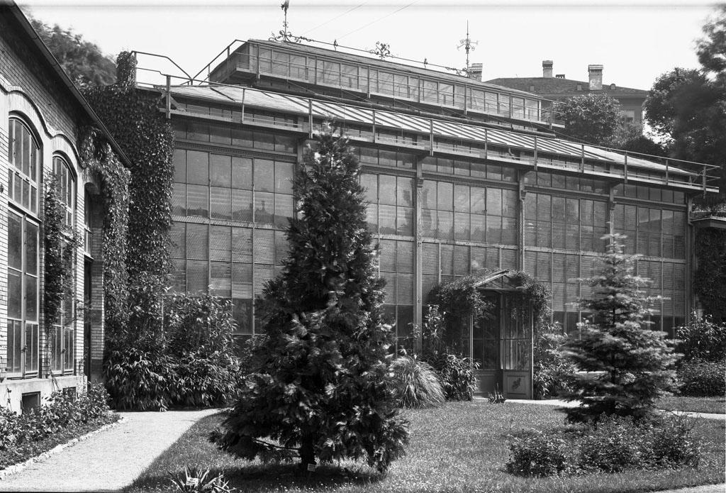 1911_EMumenthaler_Palmenhaus_Orangerie