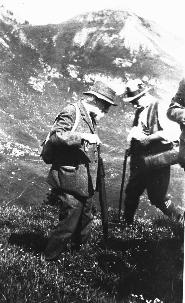 1910ca_ProfFischer_Exkursion Riederalp6