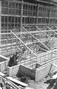 1946_Bauarbeiten-Neues Warmhaus-im-Innenhof_13