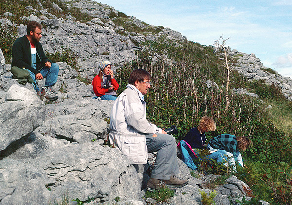 Mullach-Mor Burren (karst; north-west Co. Clare)