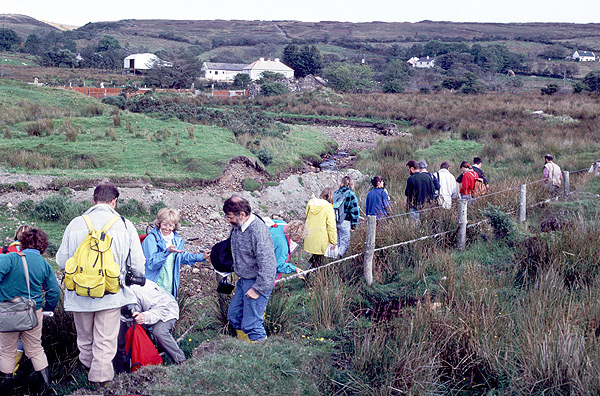 Derrynadivva, a Gortian interglacial site in Co. Mayo