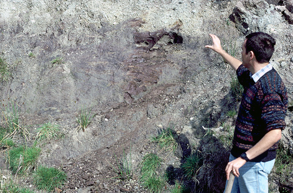 Derrynadivva, a Gortian interglacial site in Co. Mayo, Coxon P