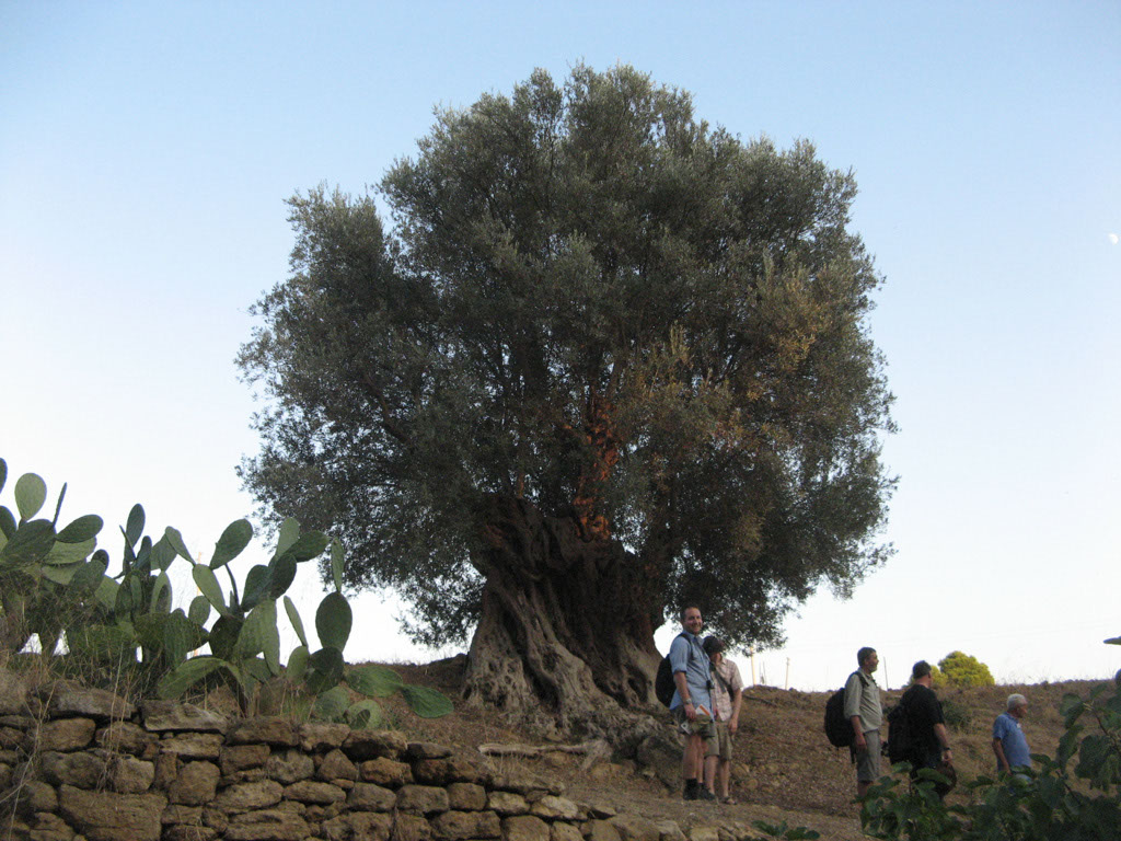 16_9_Agrigento and the Valley of the Temples_cbz