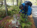 201209111435_iMEx_Norway_07PvdK2012_09_11(33)NO_Setesdal_Lisletjønn_Steffen