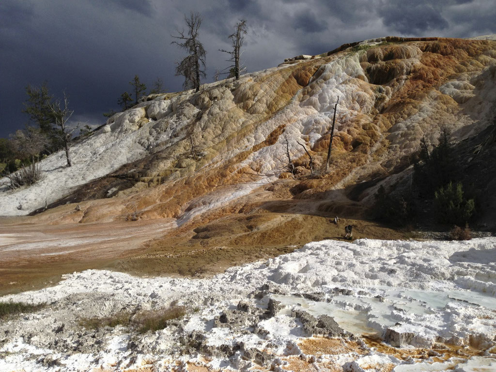 11_2013Yellowstone