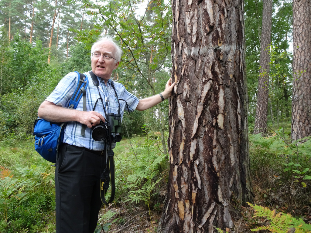 %_tempFileName20180904_104317_095PvdK_Gleboczek-peatland_thick-pine_Michael%