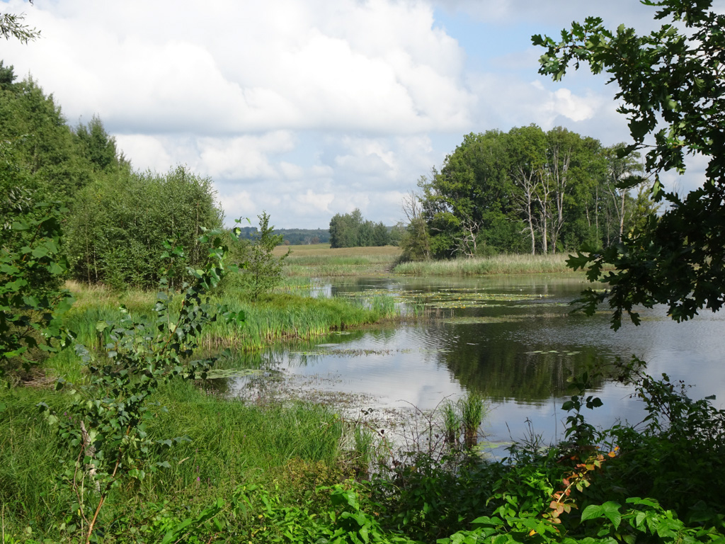 %_tempFileName20180906_113640_226PvdK_lake-near-Bagno-Kusowo-bog%