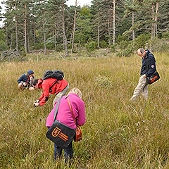 Organising committee