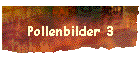 Pollenbilder 3