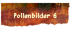 Pollenbilder 6