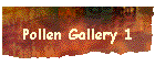 Pollen Gallery 1