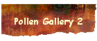 Pollen Gallery 2