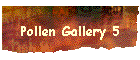 Pollen Gallery 5